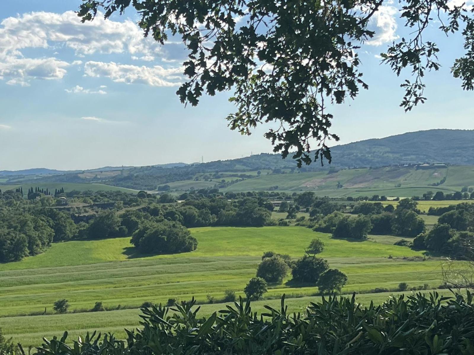 Agriturismo La Castellina Saturnia Dış mekan fotoğraf