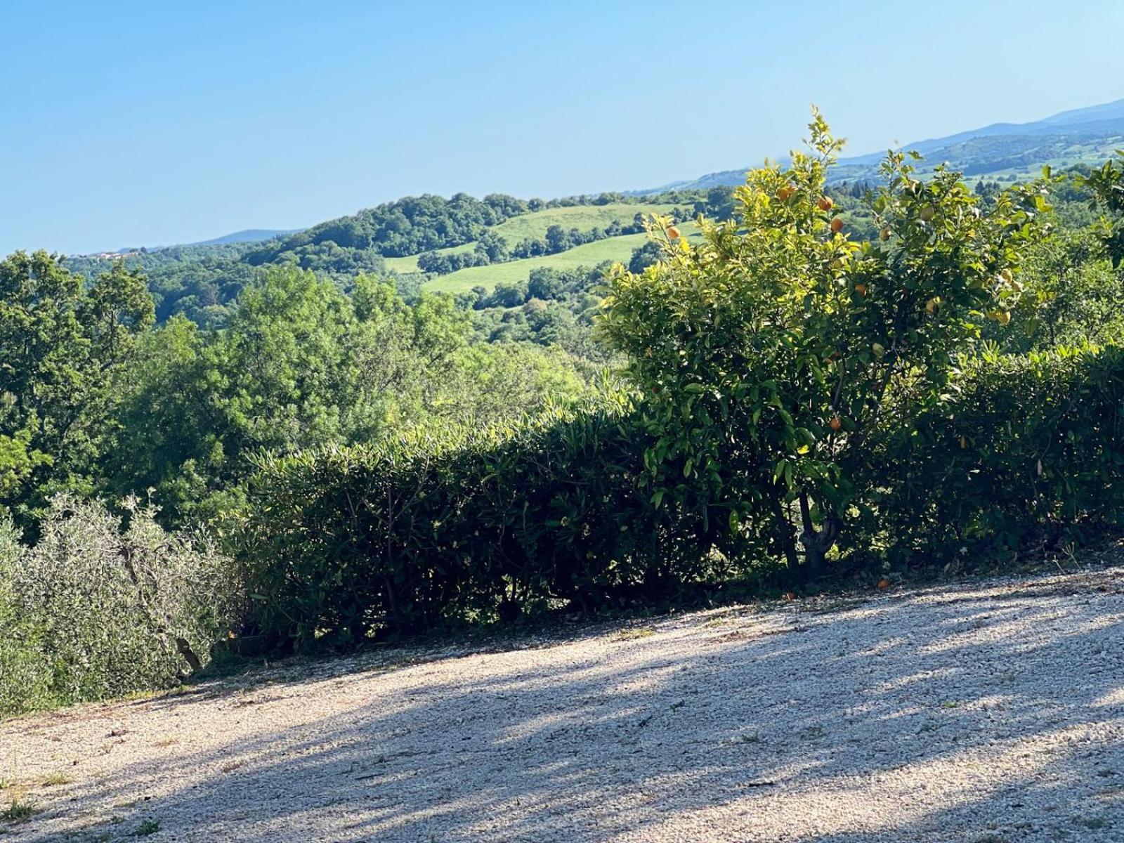 Agriturismo La Castellina Saturnia Dış mekan fotoğraf