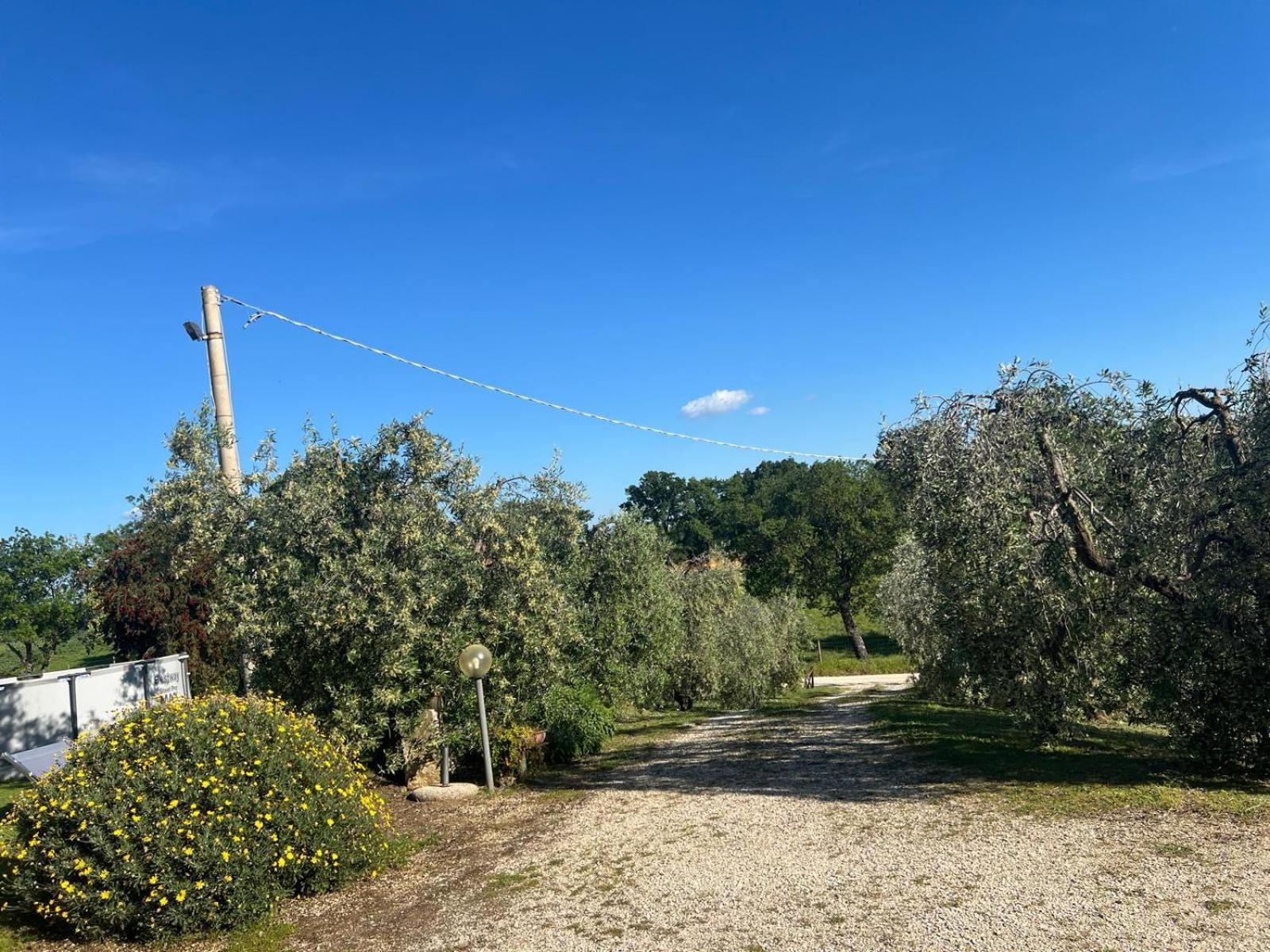 Agriturismo La Castellina Saturnia Dış mekan fotoğraf